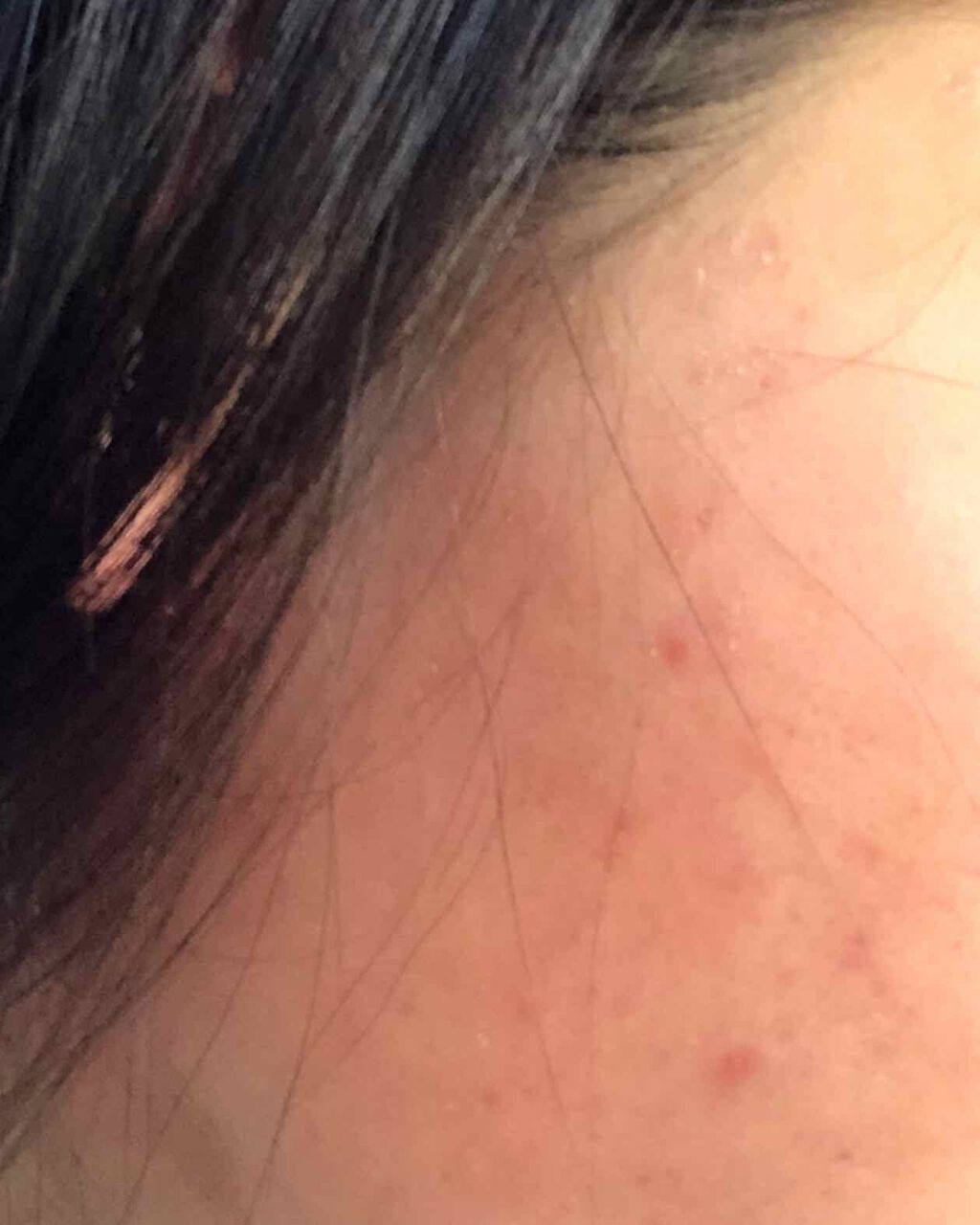 ボラージ クリーム/ちふれ/ボディクリームを使ったクチコミ(3枚目)