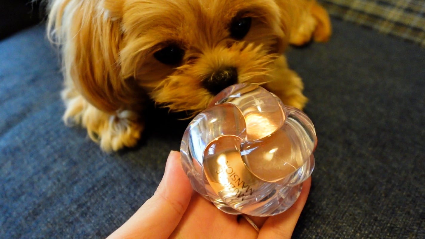 ツイストポットアイパレット/MUZIGAE MANSION/アイシャドウパレットを使ったクチコミ(5枚目)