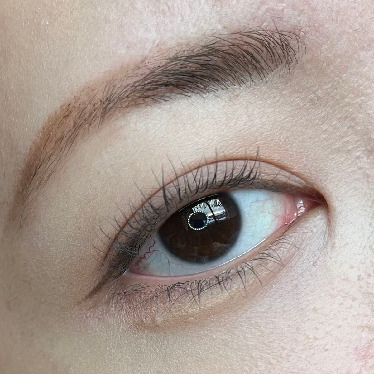 ピメル うそつきマスカラ/pdc/マスカラを使ったクチコミ(8枚目)