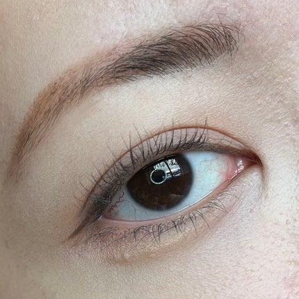 ピメル うそつきマスカラ/pdc/マスカラを使ったクチコミ(8枚目)