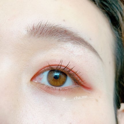 レ キャトル オンブル/CHANEL/アイシャドウパレットを使ったクチコミ(2枚目)