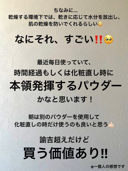 プードルコンパクトエサンシエルn/クレ・ド・ポー ボーテ/プレストパウダーを使ったクチコミ(4枚目)