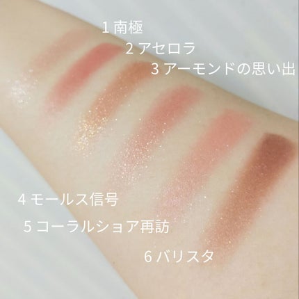 ナイストゥミーチュートランク/MAJOLICA MAJORCA/アイシャドウパレットを使ったクチコミ(2枚目)
