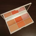 1028 call me sweet blush palette limited-edition