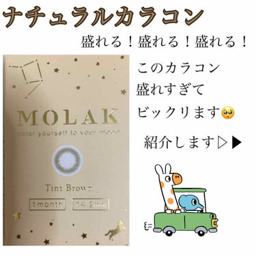 MOLAK 1month ティントブラウン/MOLAK/１ヶ月（１MONTH）カラコンを使ったクチコミ（1枚目）