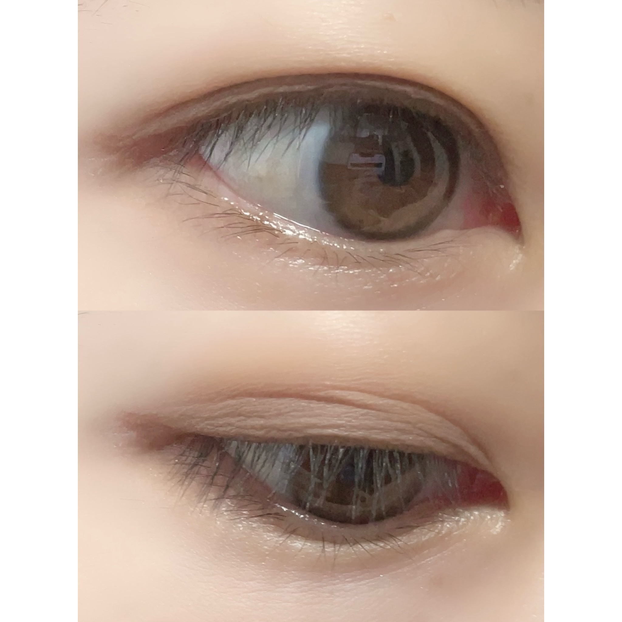 プロ アイ パレット 09 BOTANIC MAUVE/CLIO/アイシャドウパレットを使ったクチコミ（2枚目）