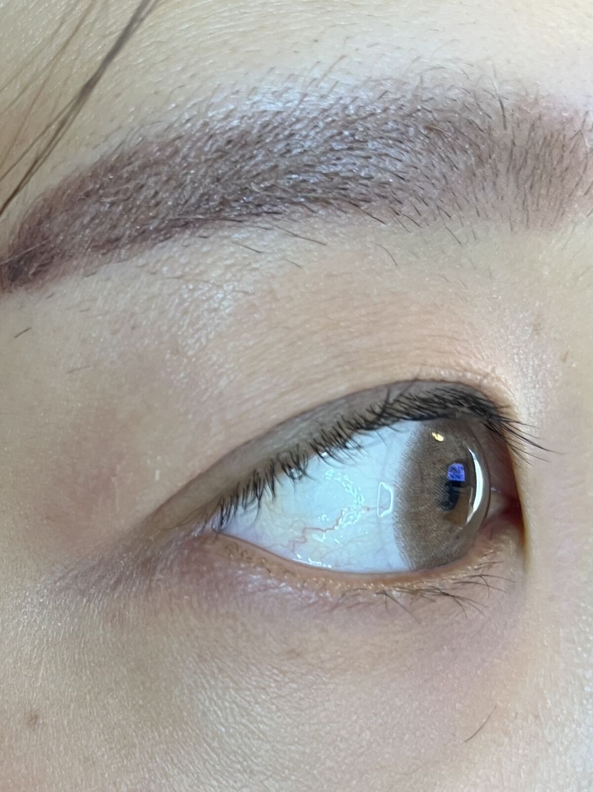 アディクション ザ アイシャドウ マット 014M Sugar/ADDICTION/単色アイシャドウを使ったクチコミ（2枚目）