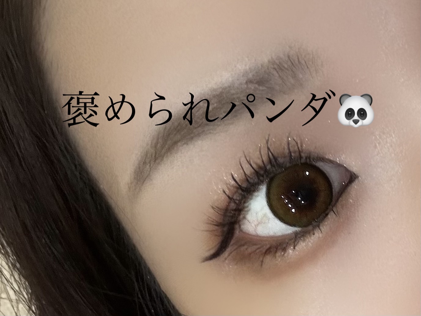 Flurry by colors 1day ライトカーキブラウン(褒められパンダ) /Flurry by colors/ワンデー（１DAY）カラコンを使ったクチコミ（2枚目）