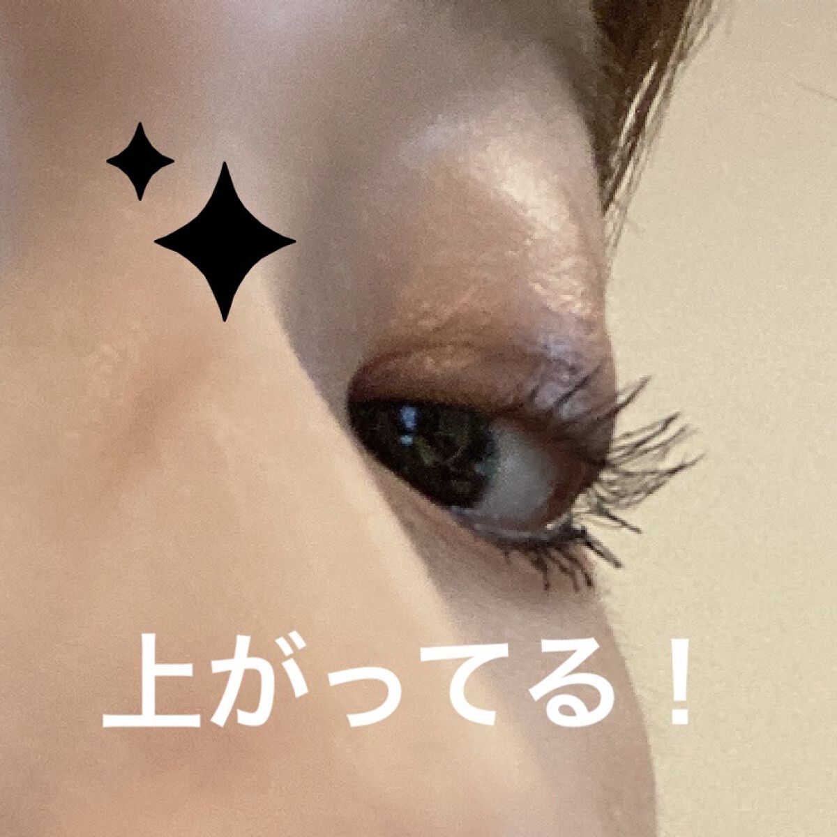 アイラッシュカーラー/SHISEIDO/ビューラーを使ったクチコミ（3枚目）