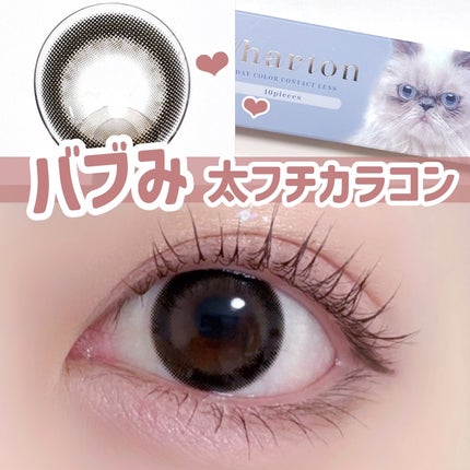 Charton 1day/Charton/ワンデー(1DAY)カラコンを使ったクチコミ(1枚目)