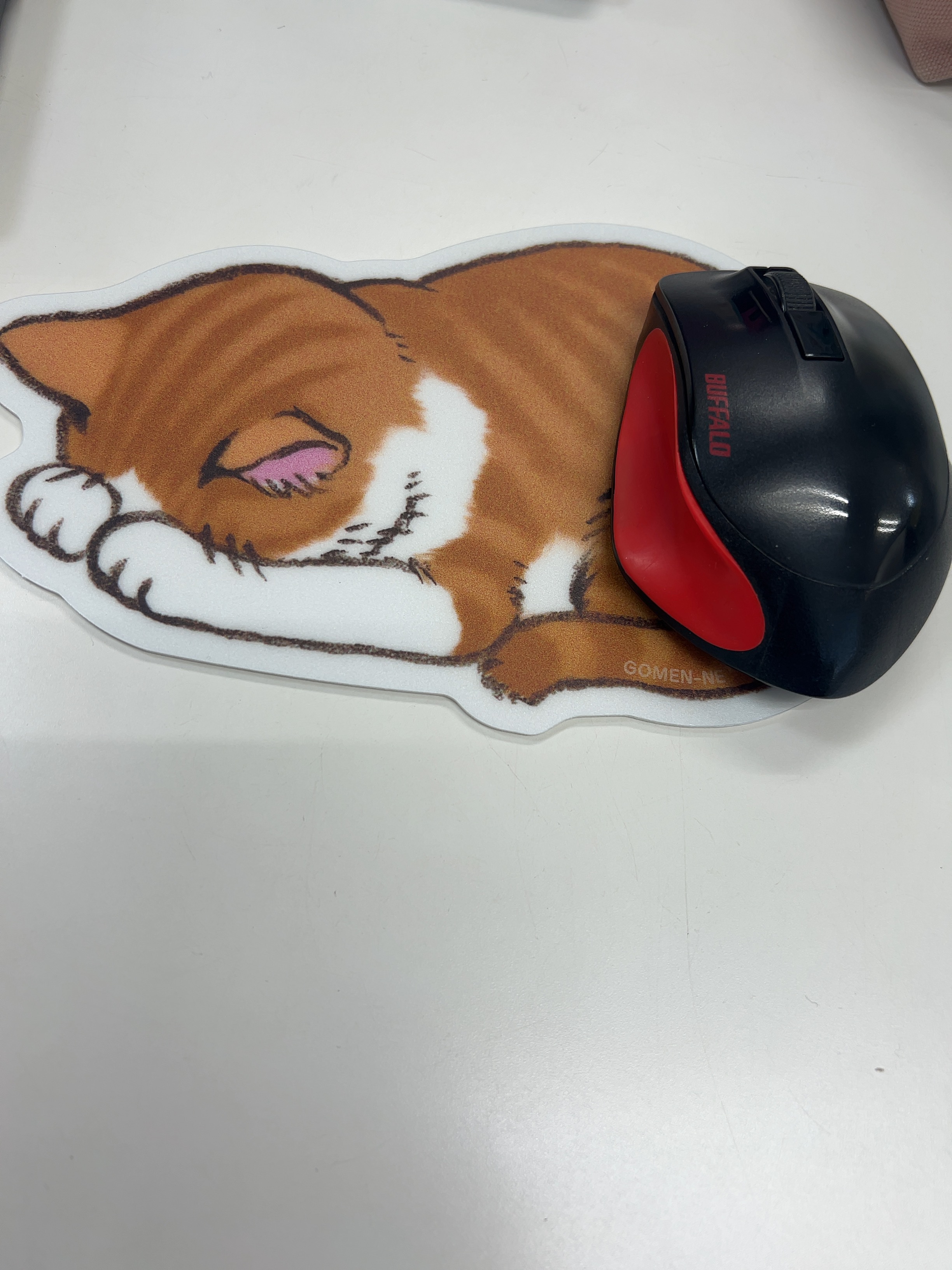 フィニッシングパウダー モイストC/チャコット・コスメティクス/ルースパウダーを使ったクチコミ（2枚目）