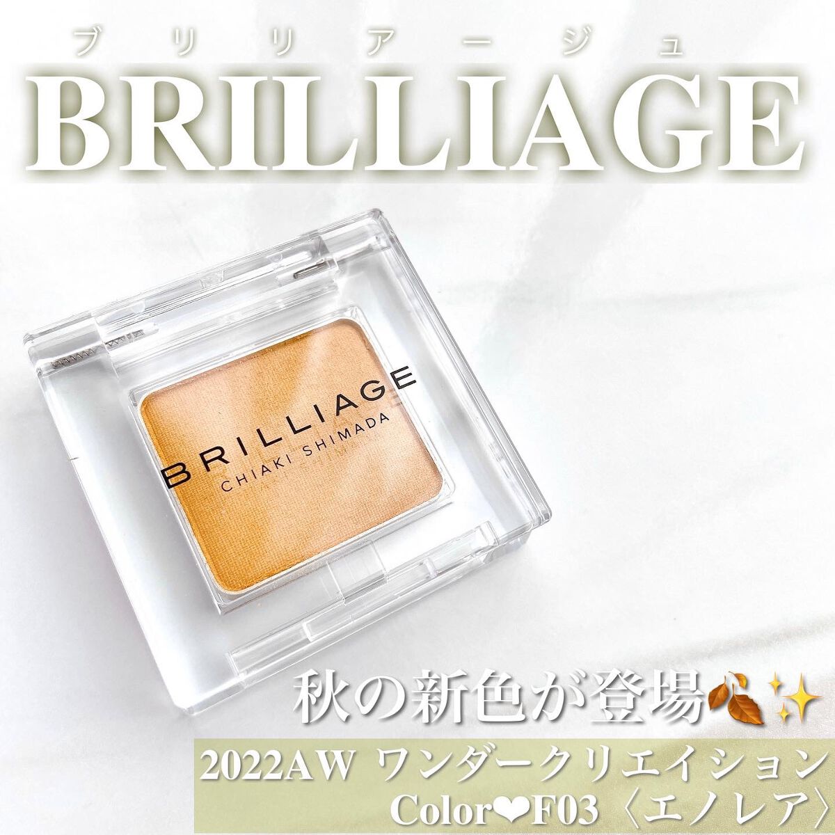 ワンダークリエイション  F03-エレノア/ブリリアージュ/単色アイシャドウを使ったクチコミ（1枚目）