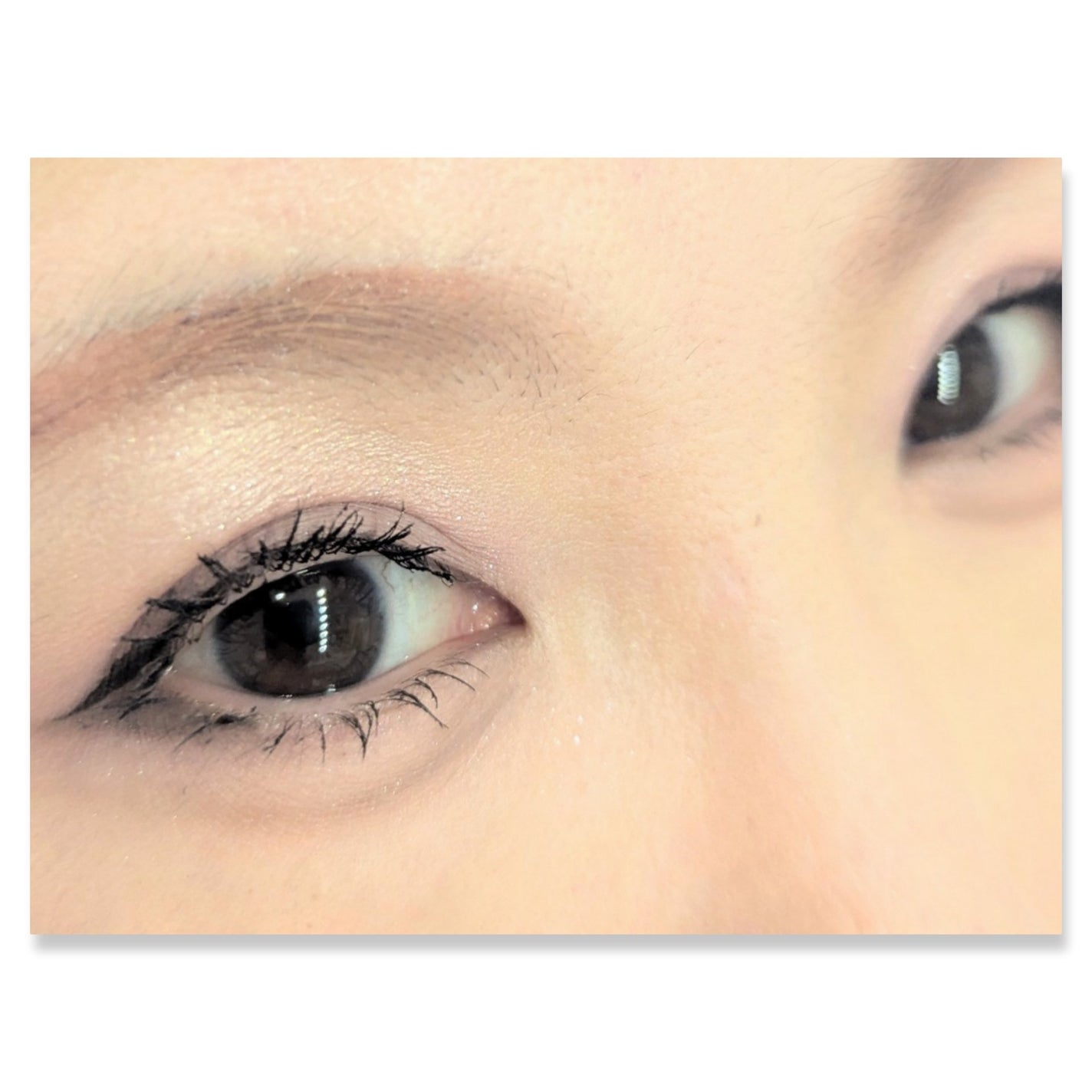 グリッターレイヤリングアイシャドウパレット/TWINKLE POP/アイシャドウパレットを使ったクチコミ(2枚目)