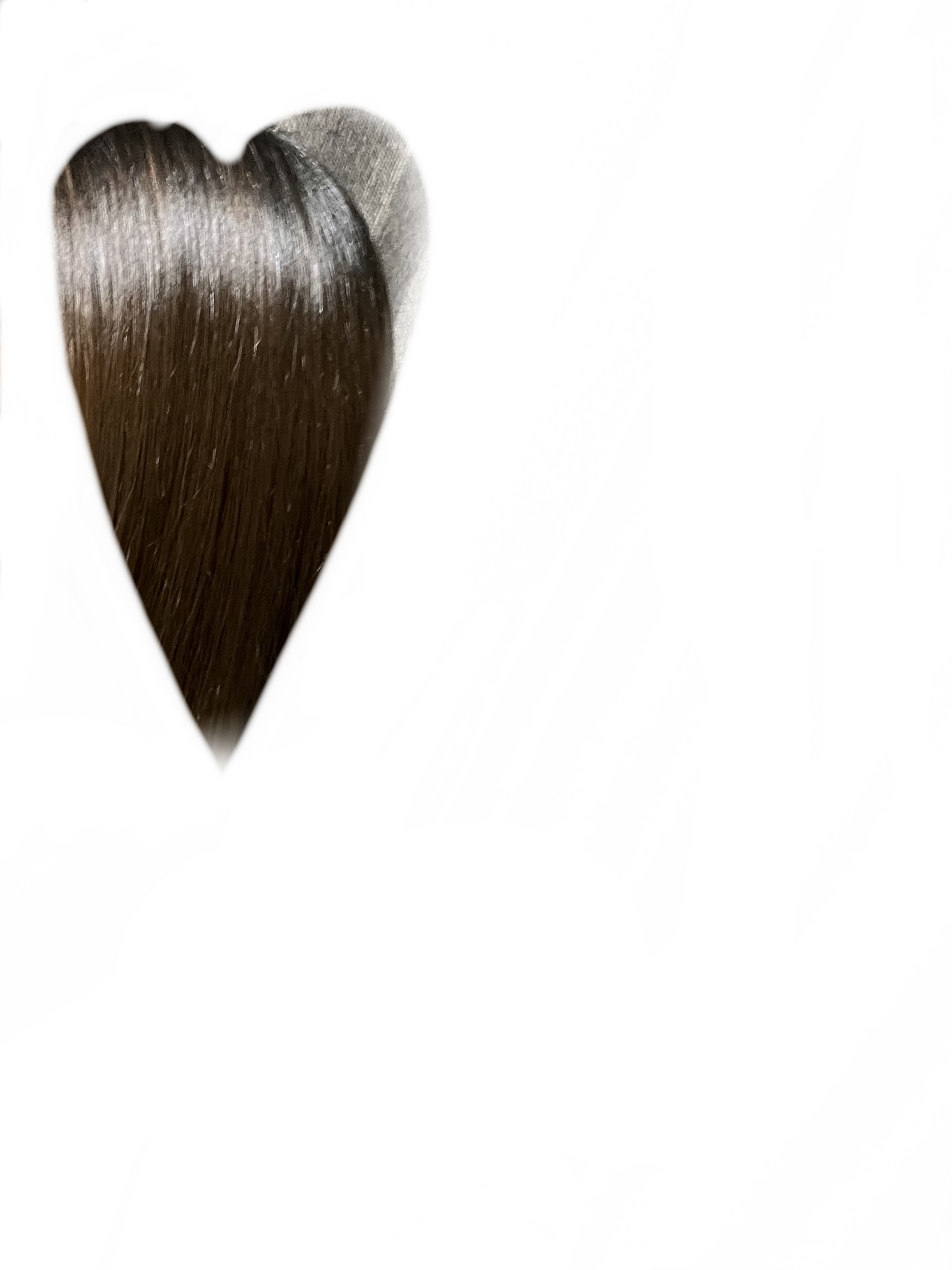 ネイチャーシャンプー/KUNDAL/市販シャンプーを使ったクチコミ（3枚目）