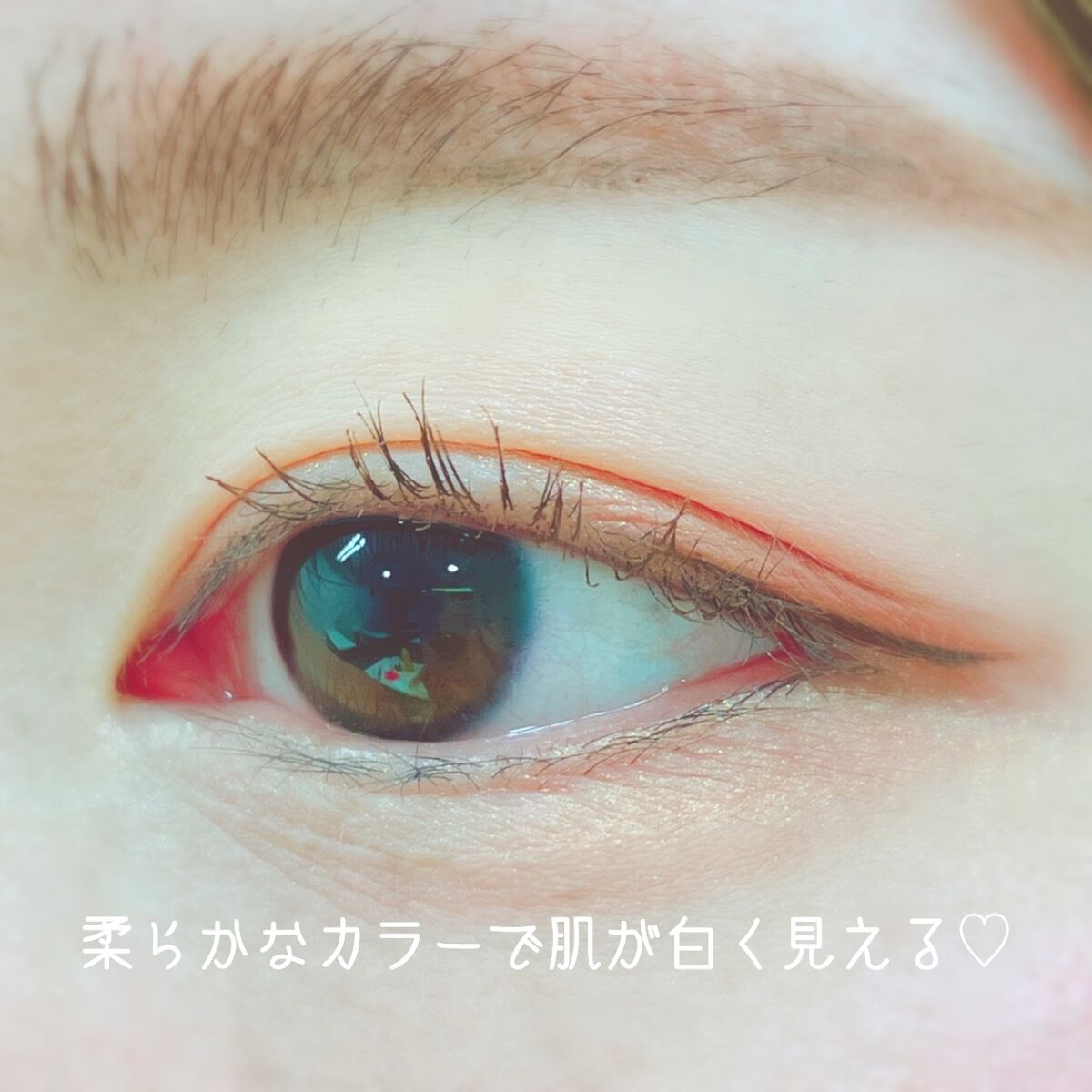 MDショールモーメント アイシャドウパレット/mude/アイシャドウパレットを使ったクチコミ(4枚目)