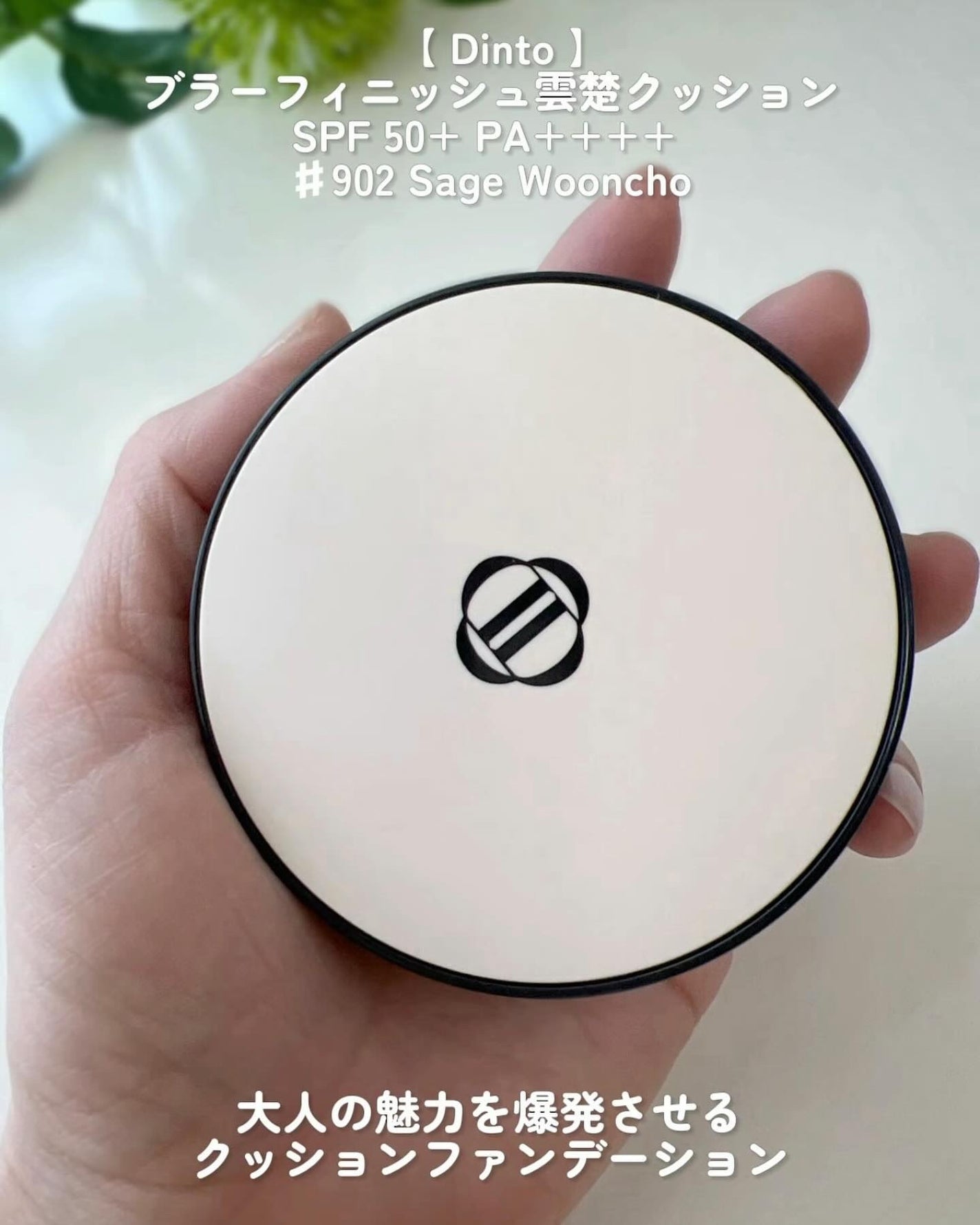 Dinto ブラー フィニッシュ マットクッションファンデーション/Dinto/クッションファンデーションを使ったクチコミ(2枚目)