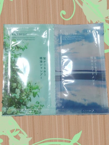 髪がうるおう精油シャンプー／トリートメント しっとり /kokoroe/シャンプー・コンディショナーを使ったクチコミ（1枚目）