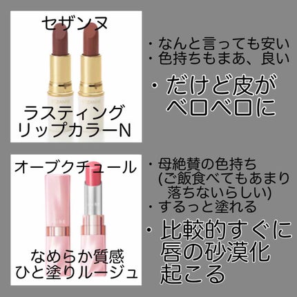 ザ ルージュ/DECORTÉ/口紅を使ったクチコミ(2枚目)