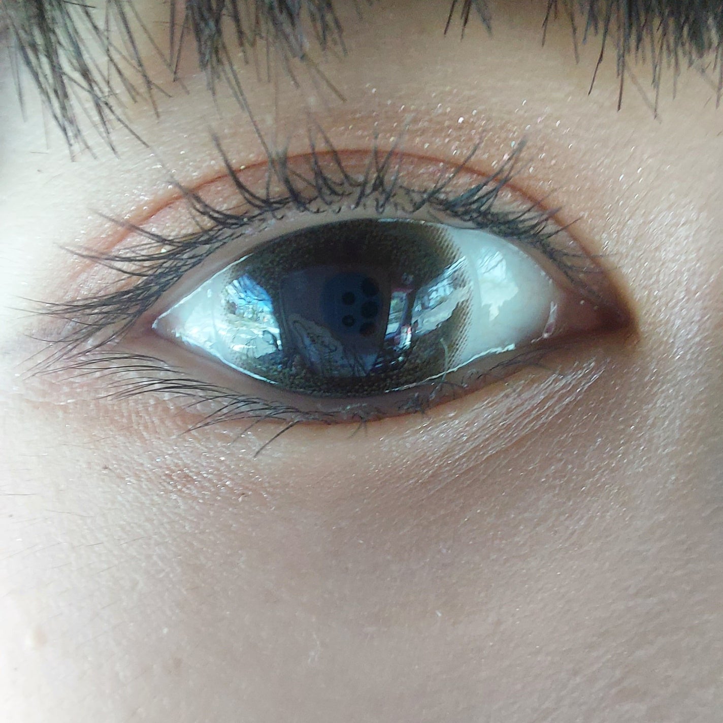 1DAY Refrear elebelle/Refrear/ワンデー(1DAY)カラコンを使ったクチコミ(6枚目)