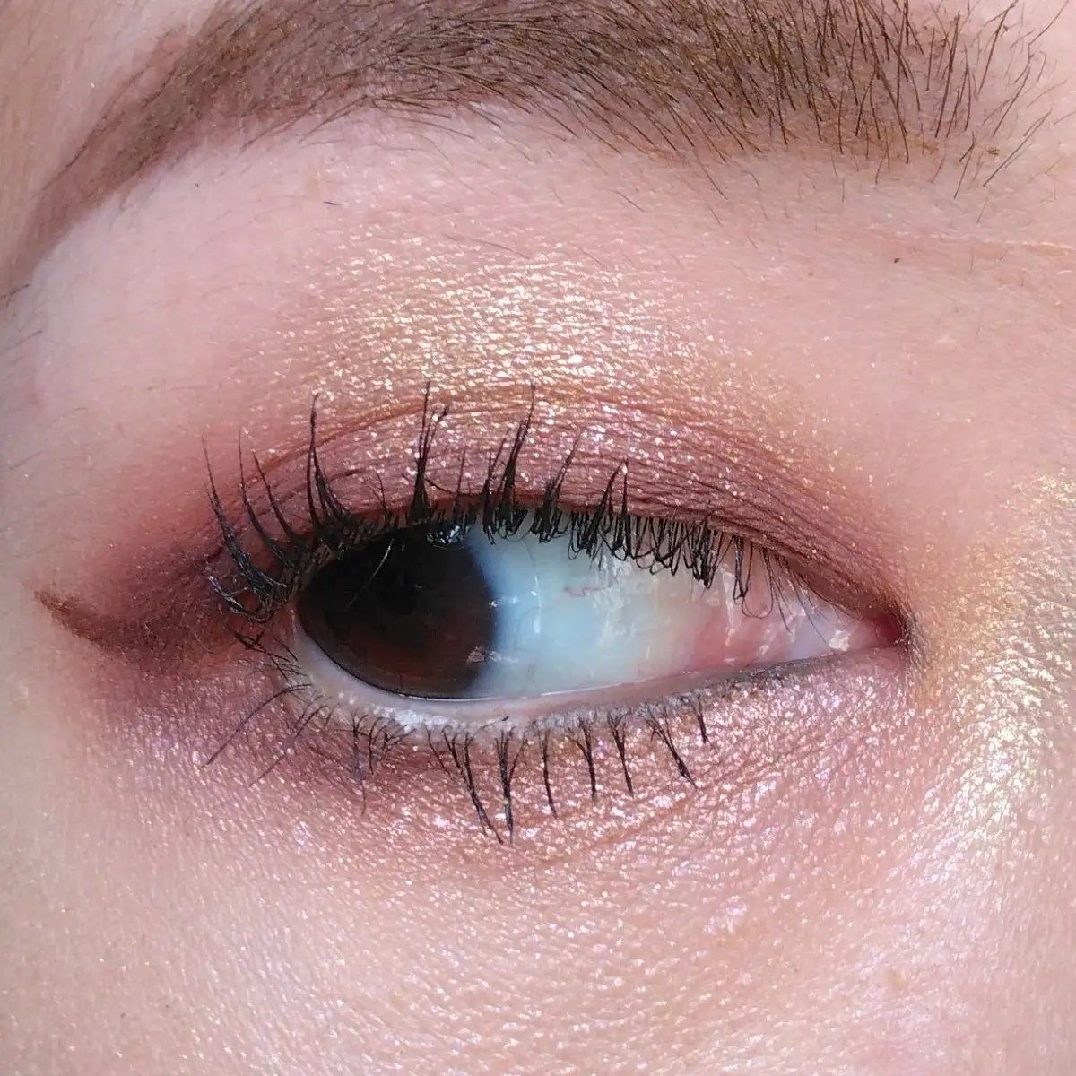 リュクス アイ & チーク パレット/BOBBI BROWN/アイシャドウパレットを使ったクチコミ（2枚目）