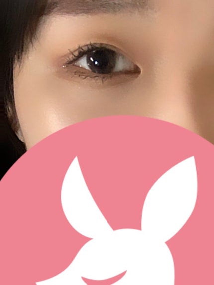 パーフェクトマルチアイズ/キャンメイク/アイシャドウパレットを使ったクチコミ(1枚目)