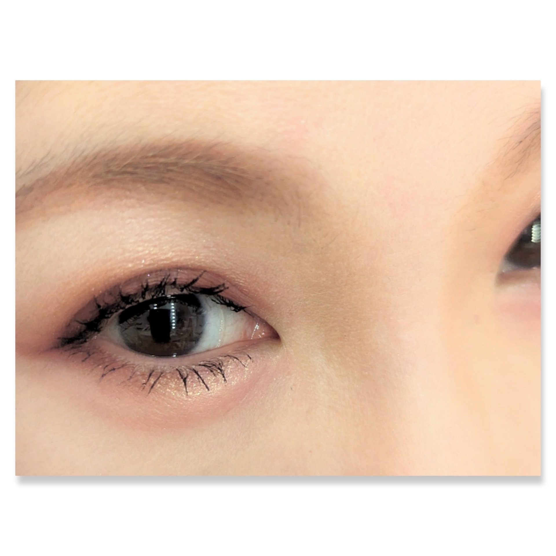 長相思シリーズ 9色アイシャドウパレット C04 冬雪（ふぶき）（日本限定色）/CATKIN/アイシャドウパレットを使ったクチコミ（2枚目）