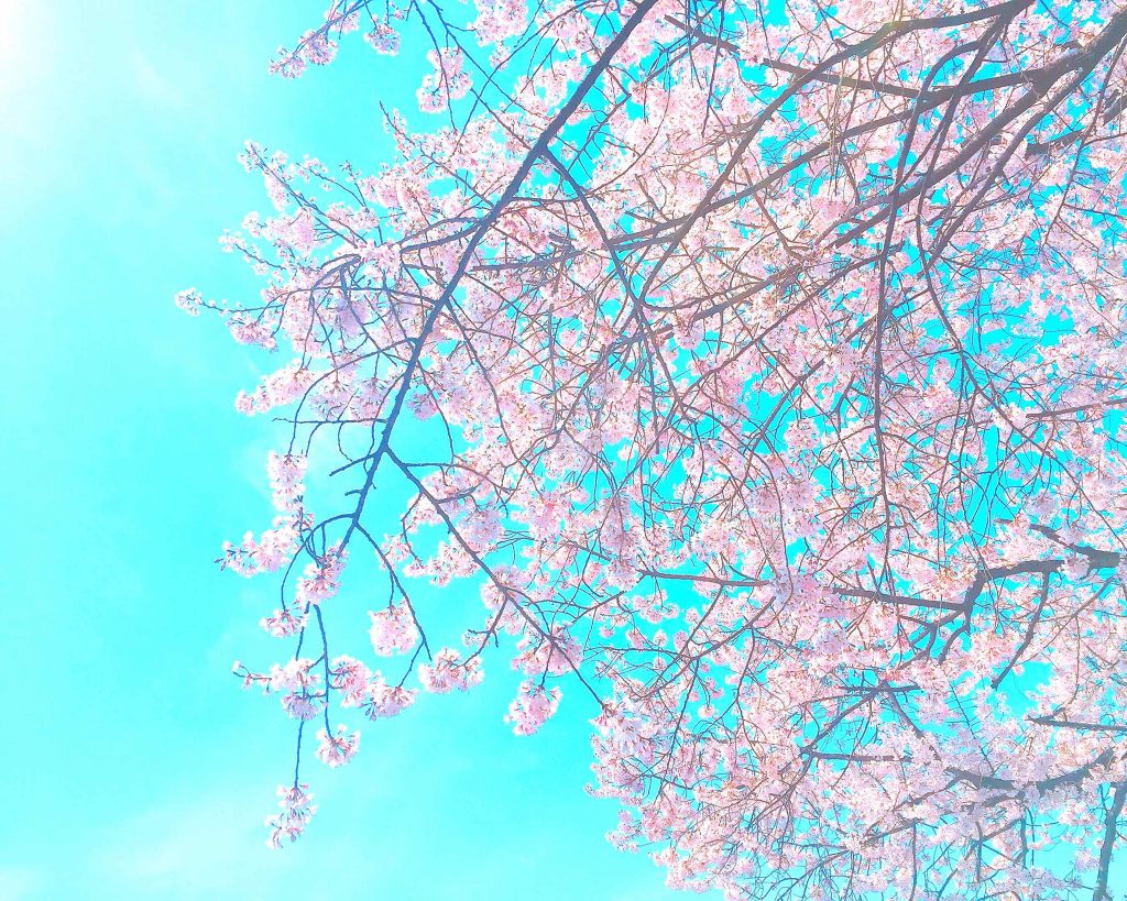 まぴ on LIPS 「はじめまして、まぴと申します。インスタやYouTuberさんの..」(1枚目)