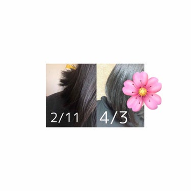 しっとりまとまるヘアクリーム /モモリ/ヘアミルクを使ったクチコミ（1枚目）