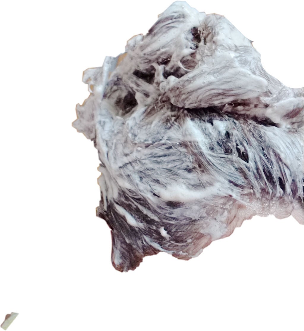 ホイップヘアカラー/ビューティラボ/ヘアカラーを使ったクチコミ(5枚目)