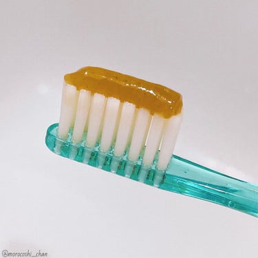 ナチュラボ 生ハーブ歯みがき/ナチュラルラボラトリーズ/歯磨き粉を使ったクチコミ（2枚目）