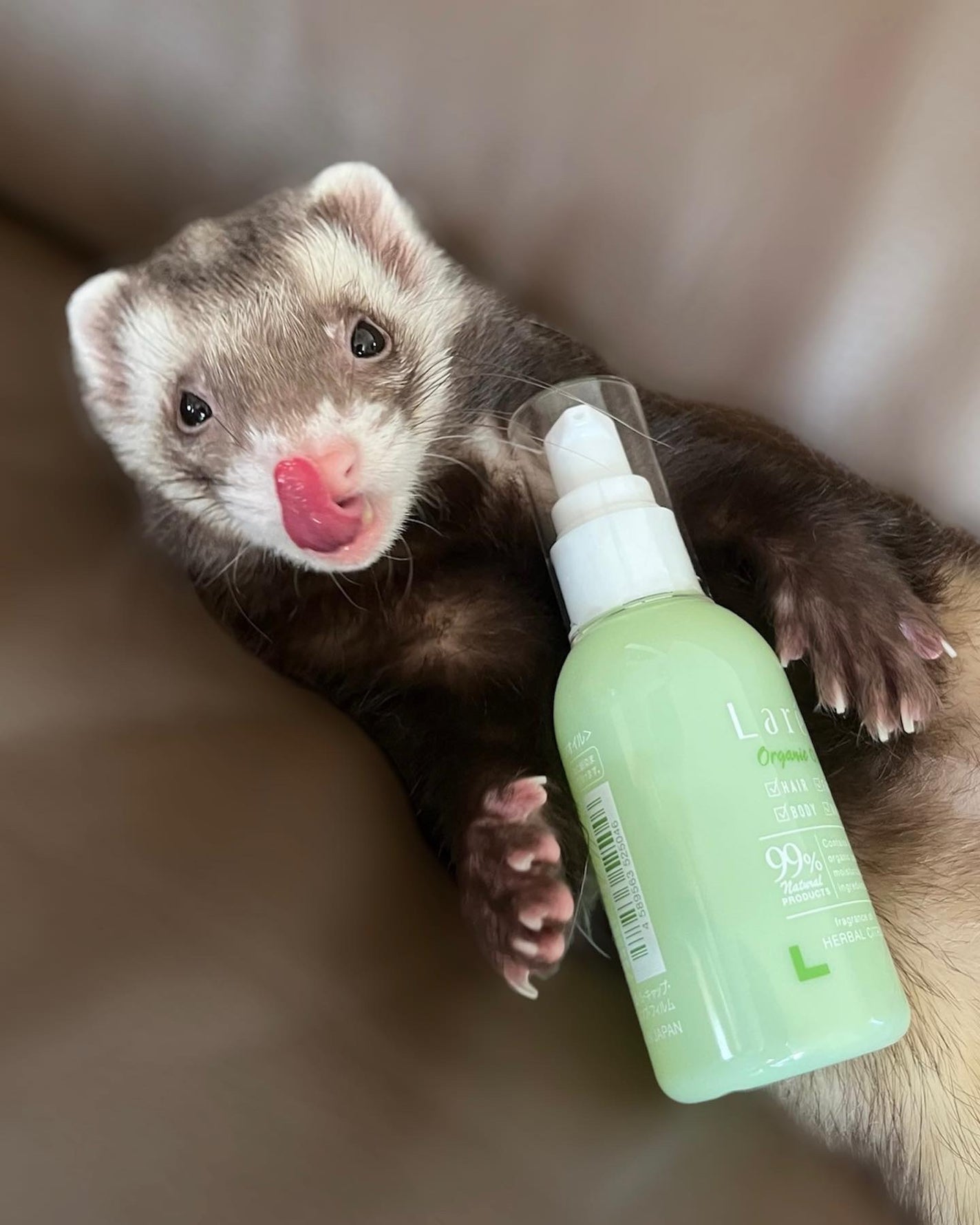 オーガニックオイル/Laret/ヘアオイルを使ったクチコミ(2枚目)