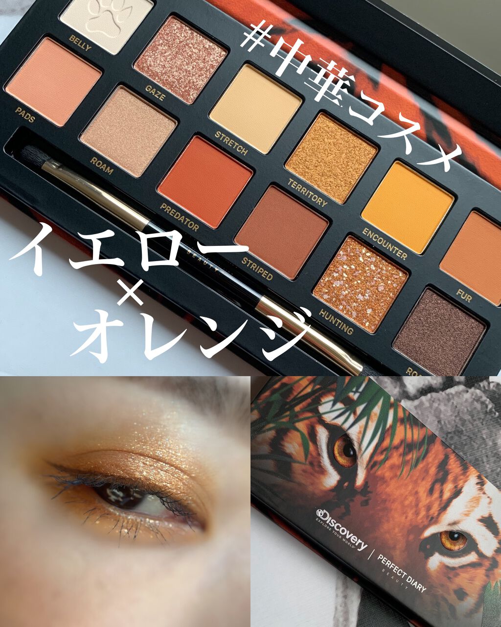 エクスプローラ12色 動物アイシャドウパレット/PERFECT DIARY/アイシャドウパレットを使ったクチコミ(1枚目)