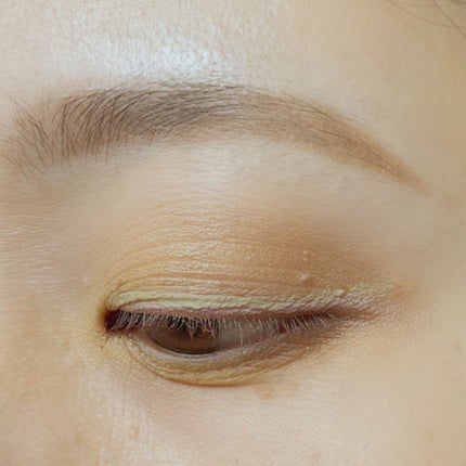 アンティークパステル ライナー/Visée/リキッドアイライナーを使ったクチコミ(10枚目)