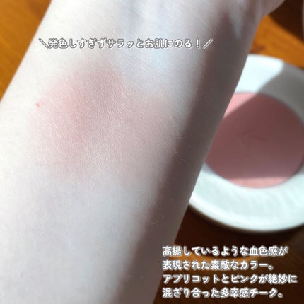 バイタルシアーブラッシャー/Laka/パウダーチークを使ったクチコミ(6枚目)