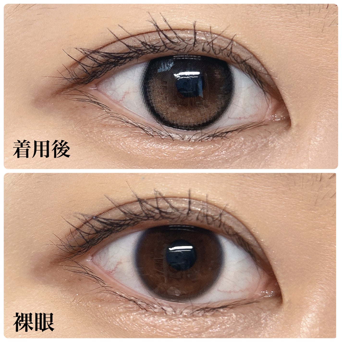 Glowy 1day/OLENS/ワンデー(1DAY)カラコンを使ったクチコミ(3枚目)