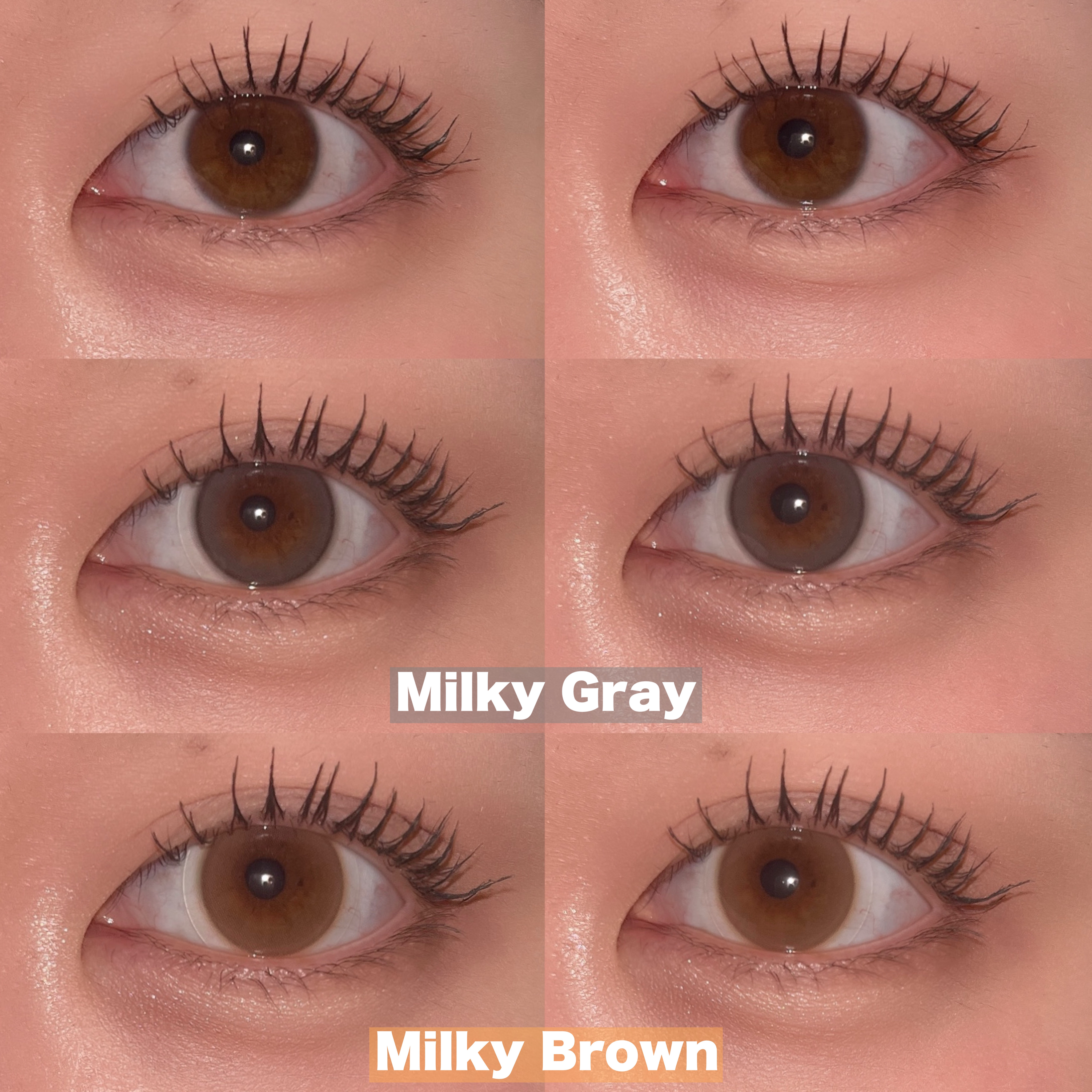 ShineTouch 1day/OLENS/ワンデー（１DAY）カラコンを使ったクチコミ（3枚目）