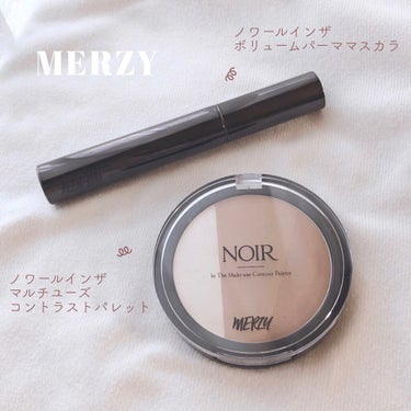 NOIR IN THE MULTI-USE CONTOUR PALETTE/MERZY/シェーディングを使ったクチコミ（2枚目）