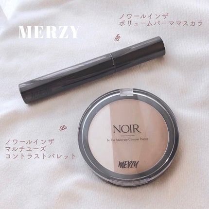 NOIR IN THE MULTI-USE CONTOUR PALETTE/MERZY/シェーディングを使ったクチコミ(2枚目)