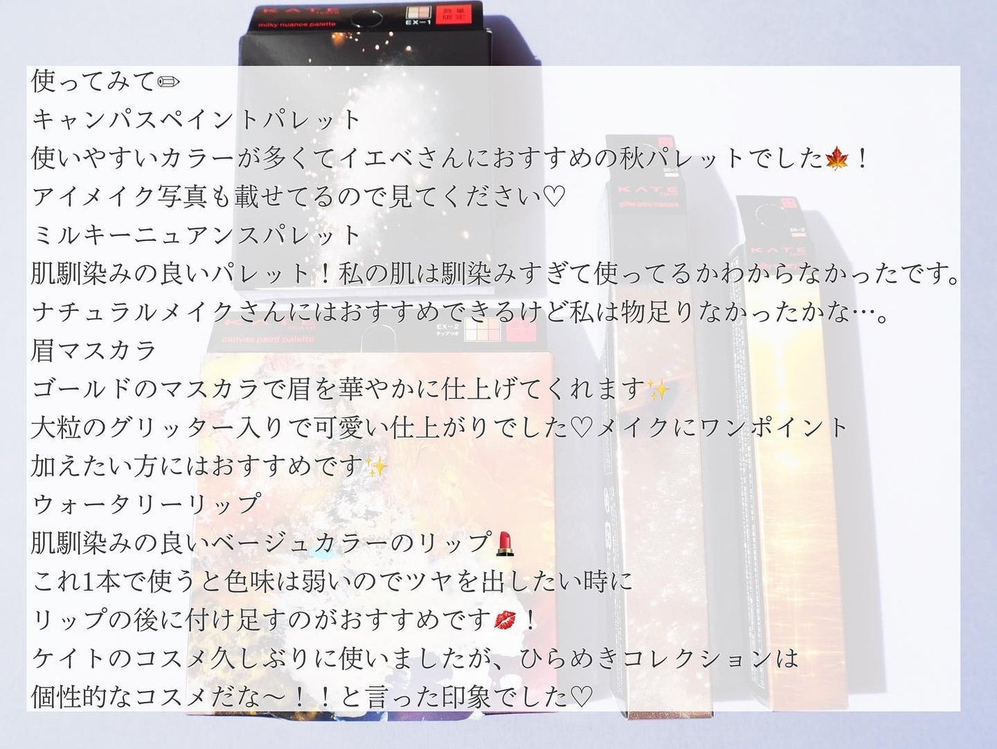 キャンバスペイントパレット/KATE/マルチパレットを使ったクチコミ(6枚目)