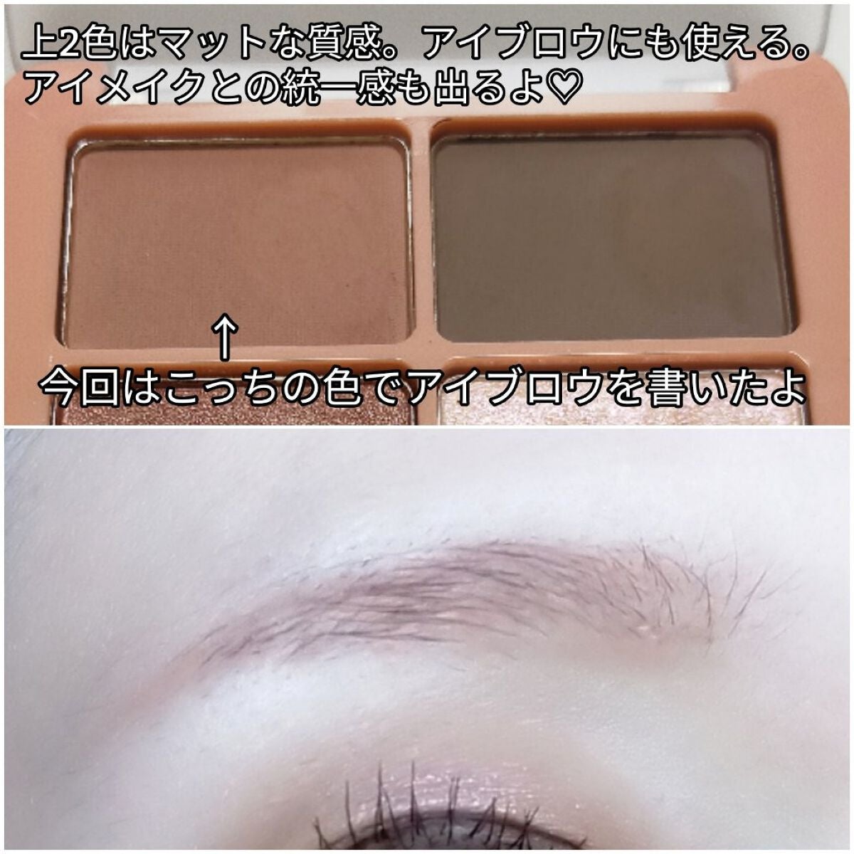 わんだふるアイカラー/KIREI FACTORY/アイシャドウパレットを使ったクチコミ(7枚目)