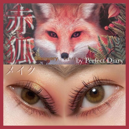 エクスプローラ12色 動物アイシャドウパレット/PERFECT DIARY/アイシャドウパレットを使ったクチコミ(1枚目)