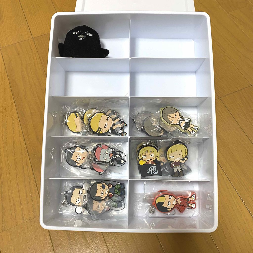 試してみた 仕切り収納ボックス フタ付 Daiso Lips 試してみた 仕切り収納ボックス フタ付 Daiso Lips