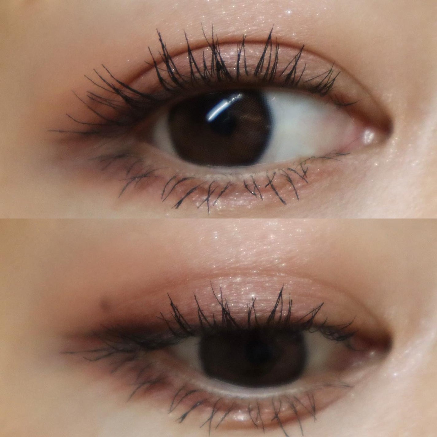 シルキースフレアイズ(マットタイプ)/キャンメイク/アイシャドウパレットを使ったクチコミ(8枚目)