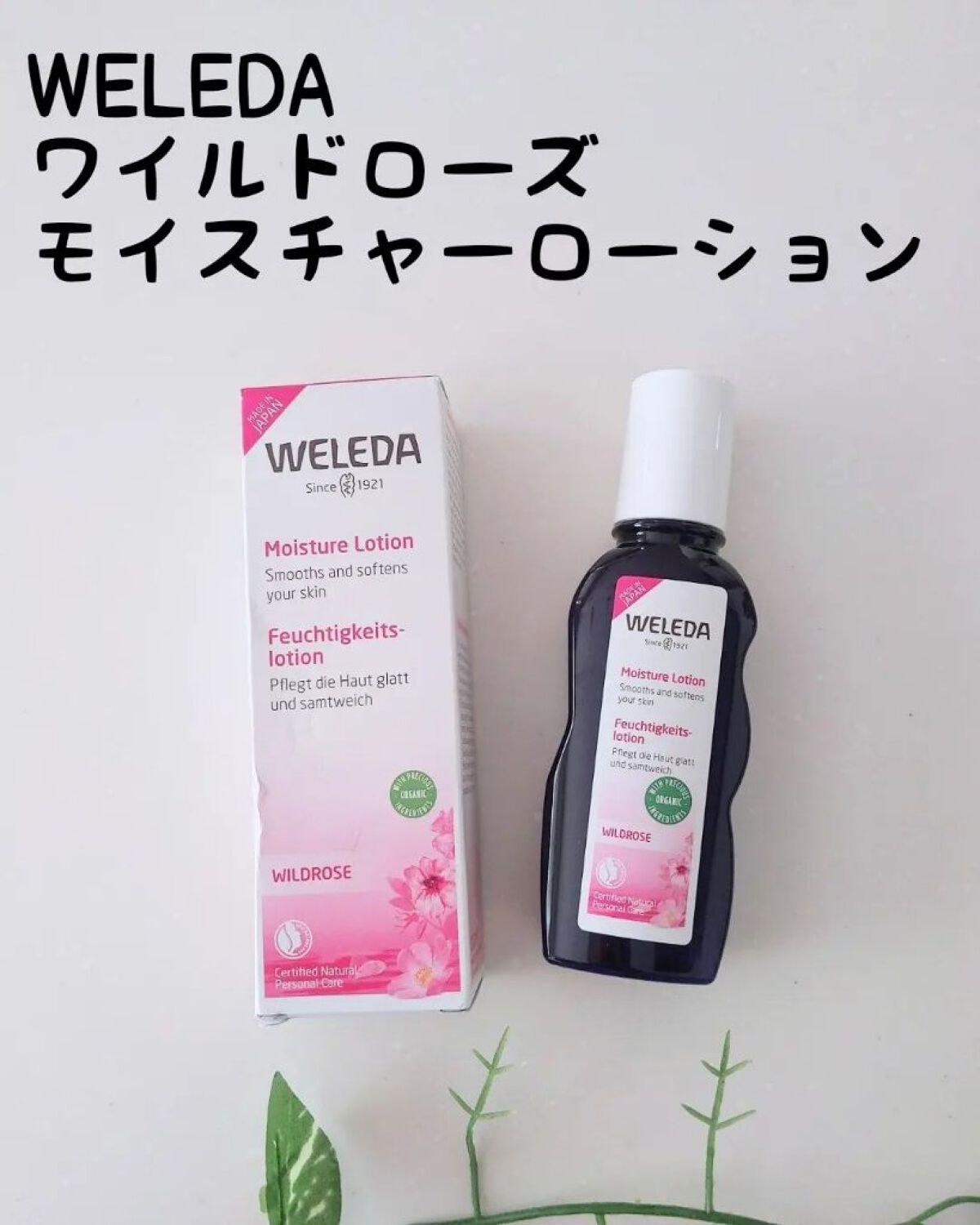 ワイルドローズ モイスチャーローション/WELEDA/化粧水を使ったクチコミ（1枚目）