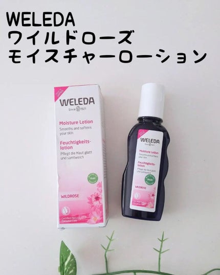 ワイルドローズ モイスチャーローション/WELEDA/化粧水を使ったクチコミ(1枚目)
