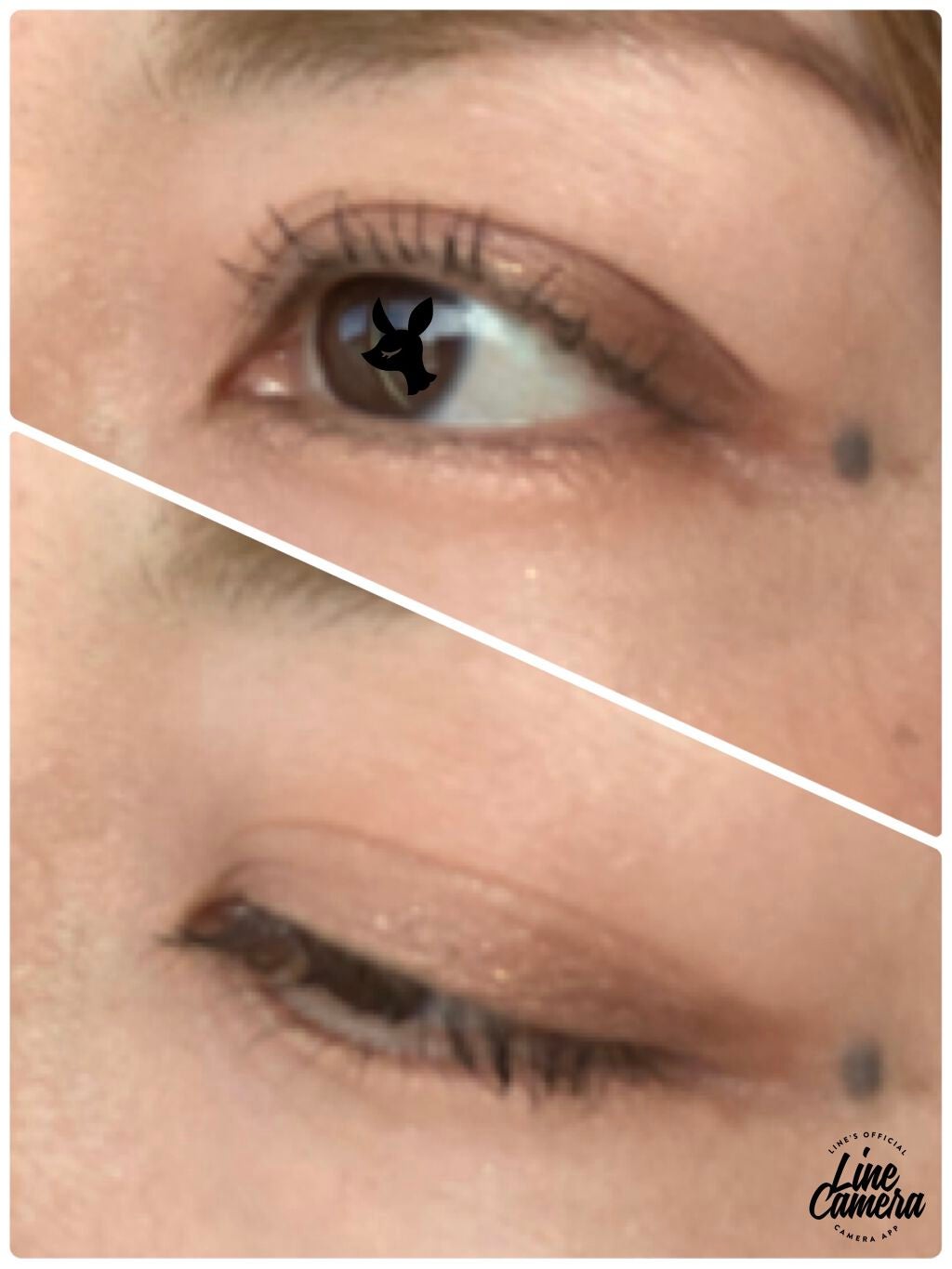 コスメデコルテ クリスマスコフレ2020/DECORTÉ/メイクアップキットを使ったクチコミ(4枚目)