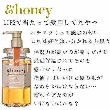 ディープモイスト シャンプー1.0／ヘアトリートメント2.0/&honey/シャンプー・コンディショナーを使ったクチコミ（2枚目）