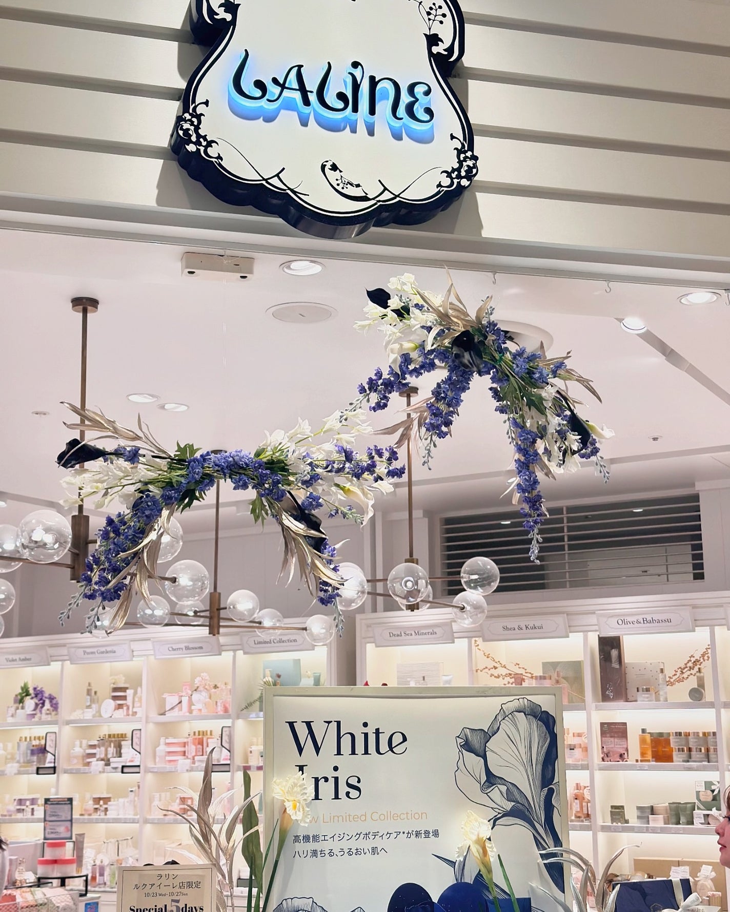 オリーブ&ババス ボタニカル リッチボディクリーム/Laline/ボディクリームを使ったクチコミ(4枚目)