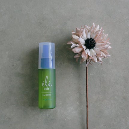 デュアルオイルミスト(スカルプ&ヘア) /エレキュイール /アウトバストリートメントを使ったクチコミ(2枚目)