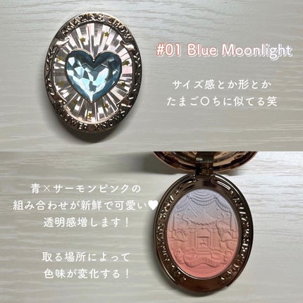 サーカスシリーズ グラデーションブラッシュ /FlowerKnows/パウダーチークを使ったクチコミ(2枚目)